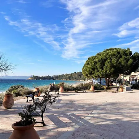 Apartment Le Lavandou, 3 Pieces, 5 Personnes - Fr-1-251-448