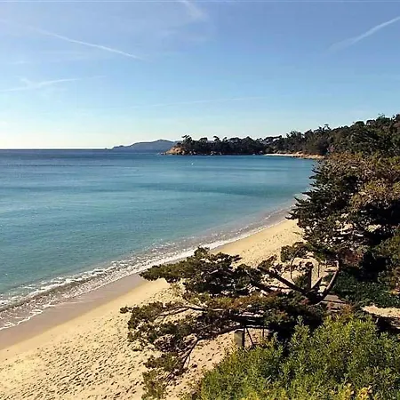 Le Lavandou, 3 Pieces, 5 Personnes - Fr-1-251-448 Apartment